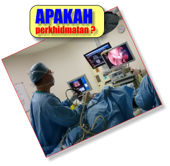 APAKAH perkhidmatan ?