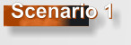 Scenario 1