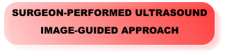 SURGEON-PERFORMED ULTRASOUND IMAGE-GUIDED APPROACH